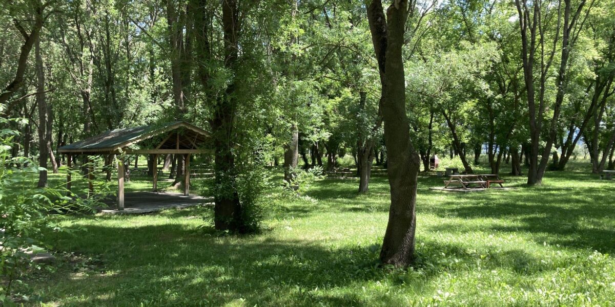 Bursa piknik alanlarında yeşil doğa ve göl manzarası