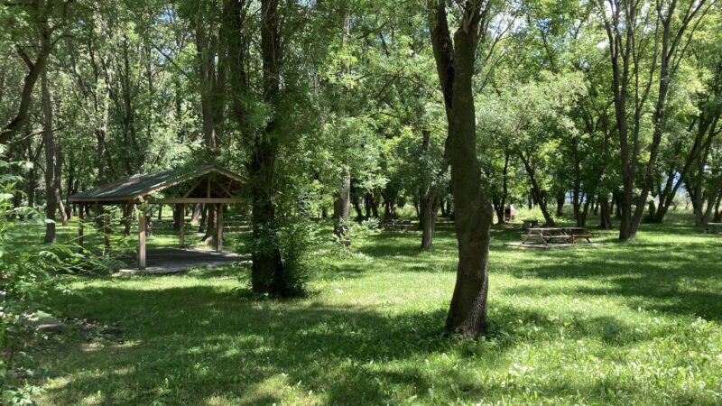 Bursa piknik alanlarında yeşil doğa ve göl manzarası
