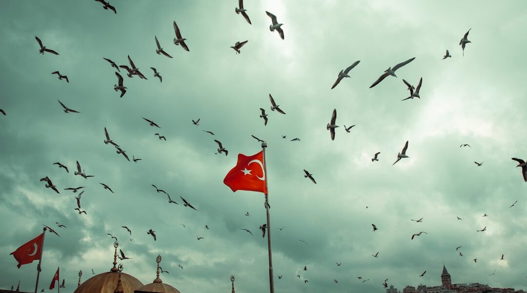 Bursa Ulu Cami, Koza Han ve Tophane Saat Kulesi panoraması, Osmanlı mirasının yeşil vadideki tarihi güzelliği.