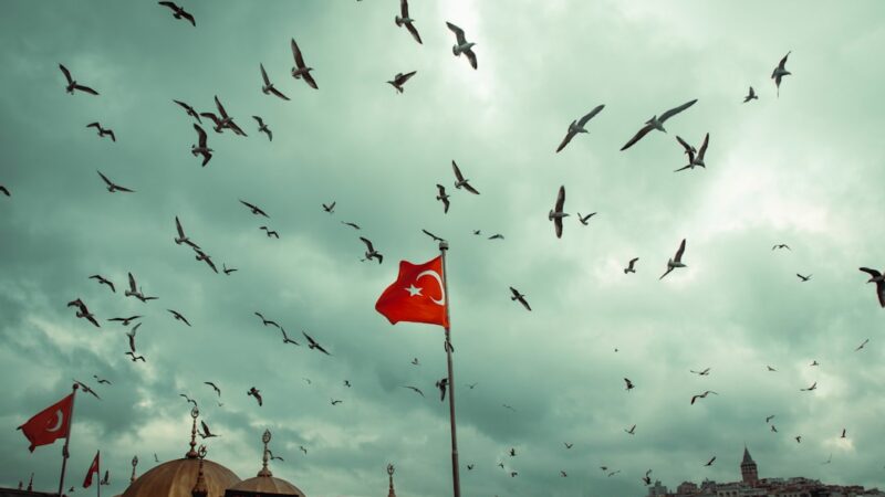 Bursa Ulu Cami, Koza Han ve Tophane Saat Kulesi panoraması, Osmanlı mirasının yeşil vadideki tarihi güzelliği.