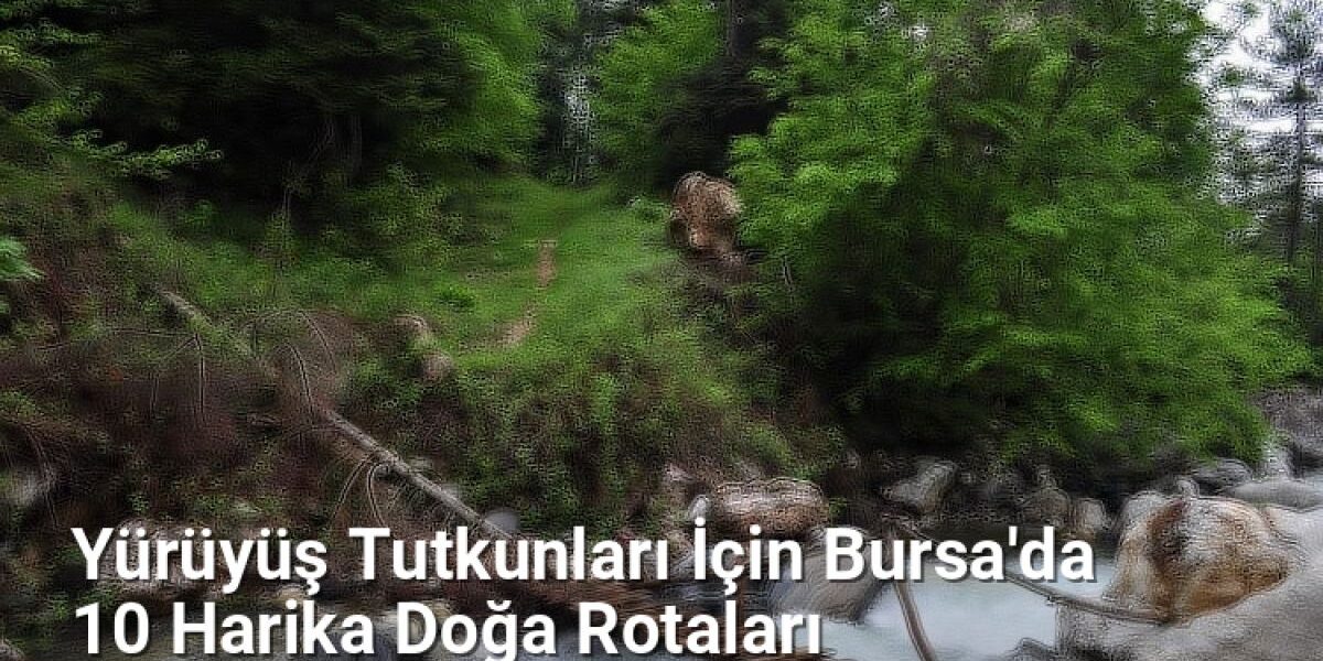 Yürüyüş Tutkunları İçin Bursa'da 10 Harika Doğa Rotaları - bursagunlugu.net.tc