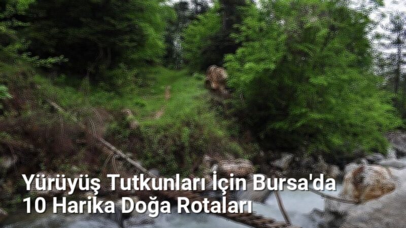 Yürüyüş Tutkunları İçin Bursa'da 10 Harika Doğa Rotaları - bursagunlugu.net.tc